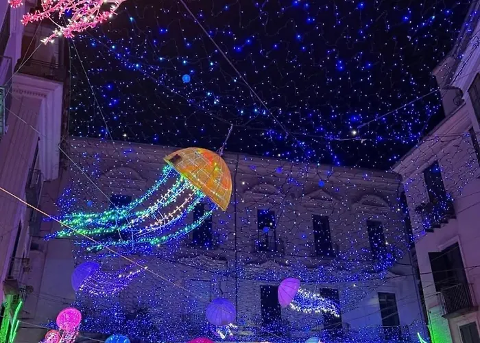 Historic Centre Lejlighed *